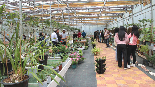 Students of the St Edmund’s College visit Orchidarium of the IBSD at Upper Shillong Friday. Image: Agency