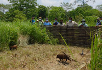 Indigenous News Images