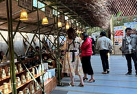 1st Northeast India Organic Week, APEDA Buyer–Seller Meet