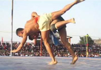 25th zeliang wrestling tournament held