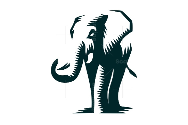 60-year-old man seriously hurt in elephant attack