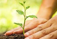 agartala public school engages in plantation drive
