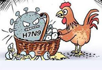 bird flu central teams formed for monitoring situation