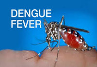 deaths and despair as dengue shatters bangladesh