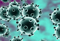 india reports sixth coronavirus death surge in cases