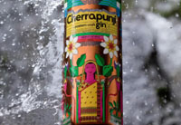 Indian Rainwater Gin wins double gold at global competition