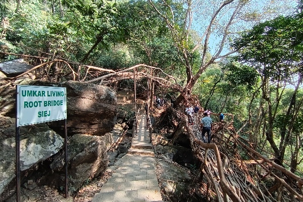 Karnataka media team visits living root bridges