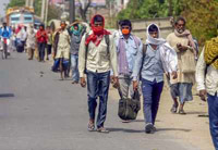 kohima dtf stresses to consolidate guidelines