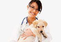 pm praises ex army officer for supporting destitute animals