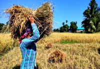 rs 160 crore for constructing 60 primary rural markets