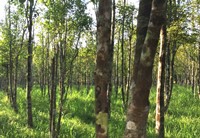 second tripura agar buyer-seller meet 2022 ends