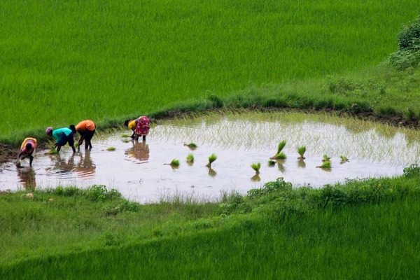 Supreme Court notices centre, stakeholders on MSP