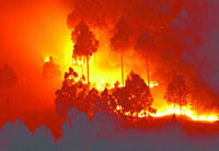 with region set for rising temperatures and above