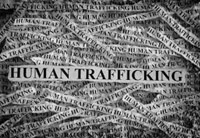 world day against human trafficking in persons observed